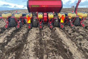 Planting-2
