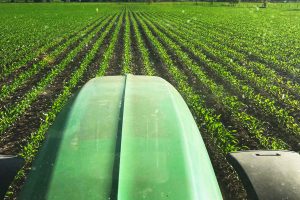 Side Dressing-2