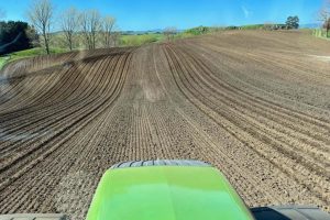 planting